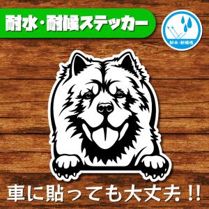 耐水・耐候ステッカー(チャウチャウ)