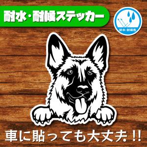 耐水・耐候ステッカー(シェパード 2)