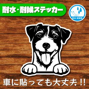 耐水・耐候ステッカー(ジャックラッセルテリア 2)