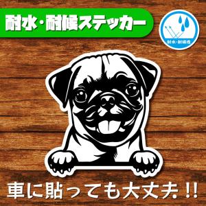 耐水・耐候ステッカー(パグ)