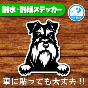 耐水・耐候ステッカー(ミニチュアシュナウザー)