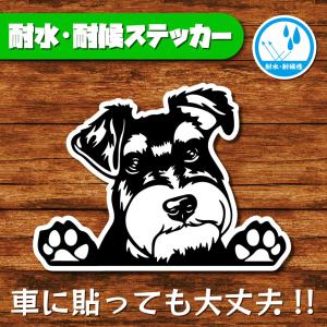 耐水・耐候ステッカー(ミニチュアシュナウザー 2)