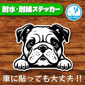 耐水・耐候ステッカー(ブルドッグ)