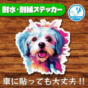 耐水・耐候ステッカー(マルチーズ 2)