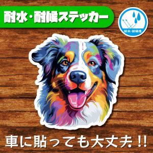 耐水・耐候ステッカー(オーストラリアンシェパード)