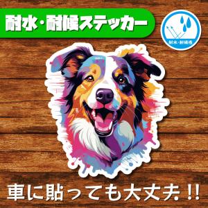 耐水・耐候ステッカー(ボーダーコリー 3)