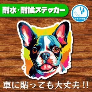 耐水・耐候ステッカー(ボストンテリア 2)