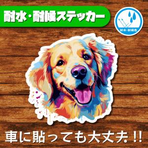 耐水・耐候ステッカー(ゴールデンレトリバー 3)