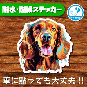 耐水・耐候ステッカー(アイリッシュセッター 4)