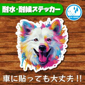 耐水・耐候ステッカー(アメリカン・エスキモー・ドッグ)