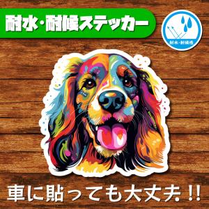 耐水・耐候ステッカー(アメリカンコッカースパニエル 5)