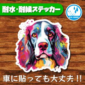 耐水・耐候ステッカー(イングリッシュコッカースパニエル 4)