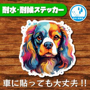耐水・耐候ステッカー(キャバリア 3)