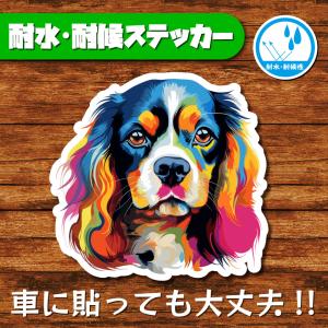 耐水・耐候ステッカー(キャバリア 4)