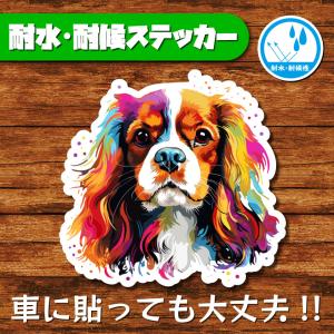 耐水・耐候ステッカー(キャバリア 6)