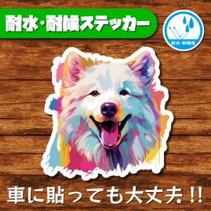 耐水・耐候ステッカー(サモエド)