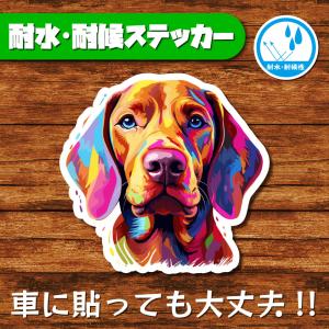 耐水・耐候ステッカー(ショートヘアード・ハンガリアン・ビズラ)