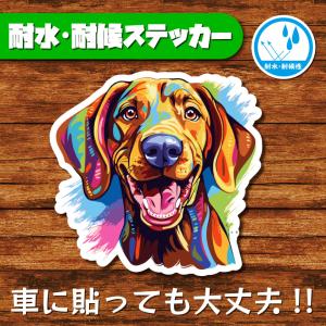 耐水・耐候ステッカー(ショートヘアード・ハンガリアン・ビズラ 3)