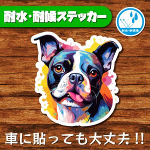 耐水・耐候ステッカー(ボストンテリア 3)