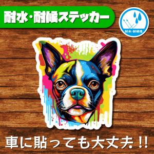 耐水・耐候ステッカー(ボストンテリア 4)