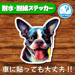 耐水・耐候ステッカー(ボストンテリア 5)