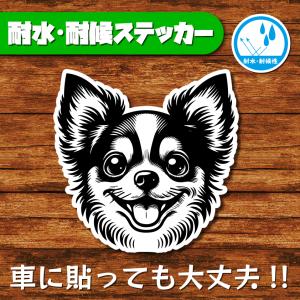 耐水・耐候ステッカー(チワワ 9)