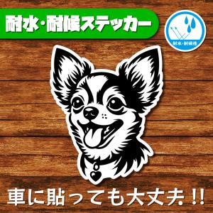 耐水・耐候ステッカー(チワワ 14)