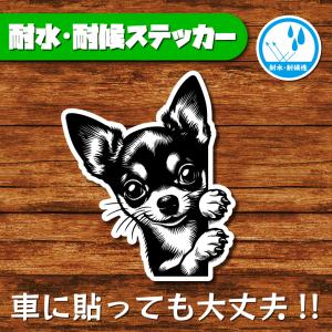 耐水・耐候ステッカー(チワワ 16)