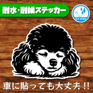耐水・耐候ステッカー(トイプードル 9)