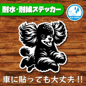 耐水・耐候ステッカー(トイプードル 11)