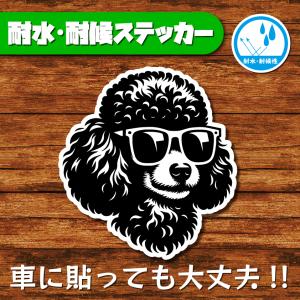 耐水・耐候ステッカー(トイプードル 13)