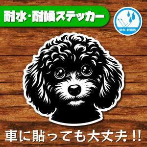 耐水・耐候ステッカー(トイプードル 14)