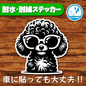 耐水・耐候ステッカー(トイプードル 15)