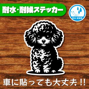 耐水・耐候ステッカー(トイプードル 16)
