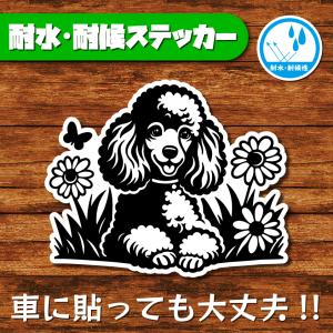 耐水・耐候ステッカー(トイプードル 19)