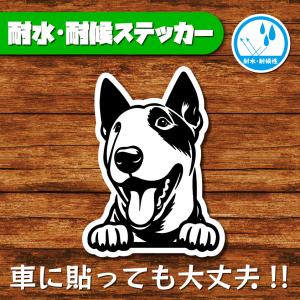 耐水・耐候ステッカー(ミニチュアブルテリア 3)
