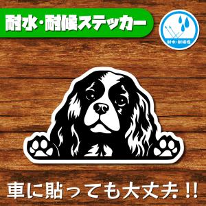 耐水・耐候ステッカー(キャバリア 7)