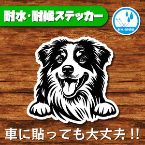 耐水・耐候ステッカー(オーストラリアンシェパード 3)