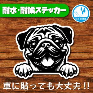 耐水・耐候ステッカー(パグ 9)