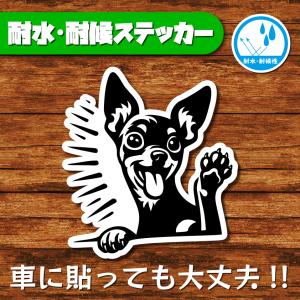 耐水・耐候ステッカー(ミニチュアピンシャー 4)