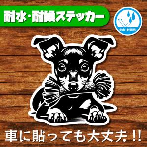 耐水・耐候ステッカー(ミニチュアピンシャー 5)