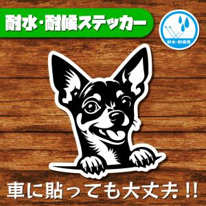 耐水・耐候ステッカー(ミニチュアピンシャー 6)
