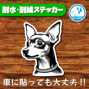 耐水・耐候ステッカー(ミニチュアピンシャー 7)