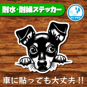 耐水・耐候ステッカー(ミニチュアピンシャー 8)