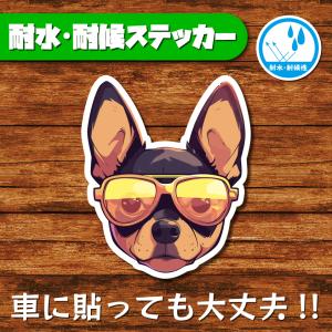 耐水・耐候ステッカー(ミニチュアピンシャー 11)