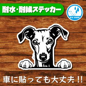 耐水・耐候ステッカー(イタリアングレーハウンド 6)