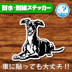 耐水・耐候ステッカー(イタリアングレーハウンド 14)