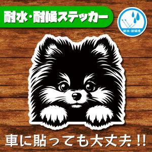 耐水・耐候ステッカー(ポメラニアン 4)