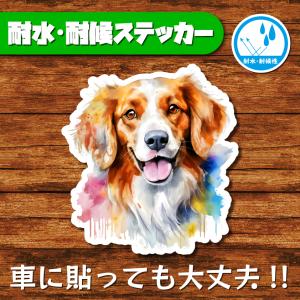 耐水・耐候ステッカー(コーイケルホンディエ 2)