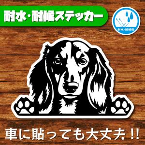 耐水・耐候ステッカー(ダックスフント 24)